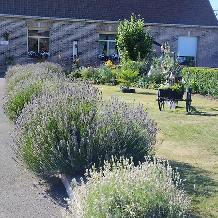 Bed & Breakfast Du Hamel Avroult